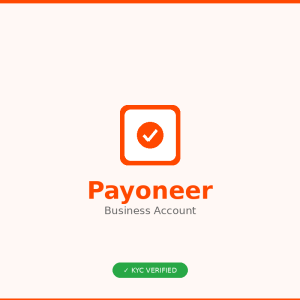 Payoneer派安盈账户 - 标准版